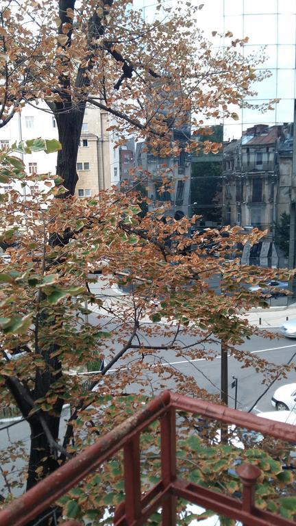 Lorena Apart Old Town Bukurešť Exteriér fotografie